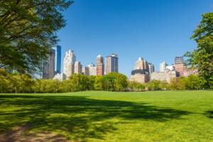 Central park on Manhattan in New York